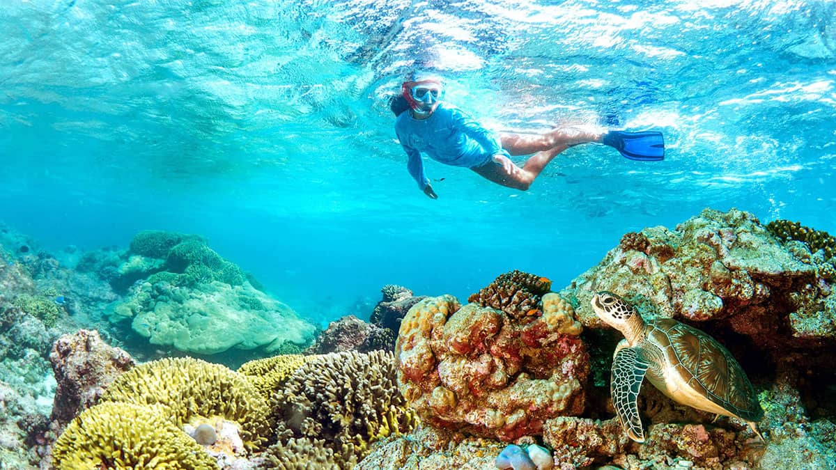 Daymaniat Islands: Snorkeling Paradise in the Arabian Sea