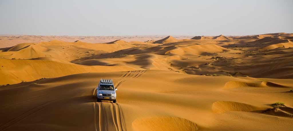 Desert Safari